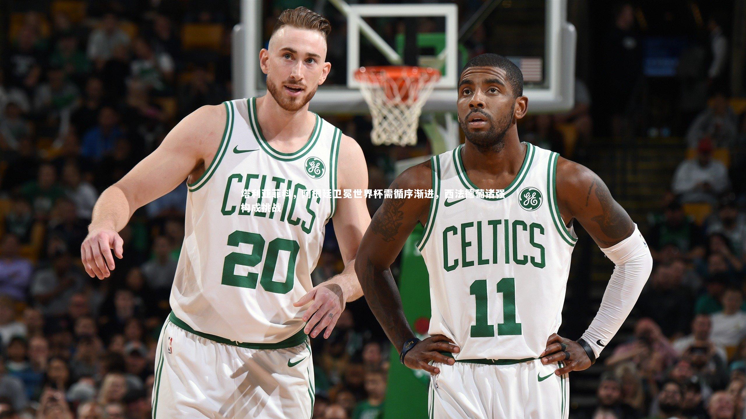 塔利亚菲科，阿根廷卫冕世界杯需循序渐进，西法德葡诸强构成挑战